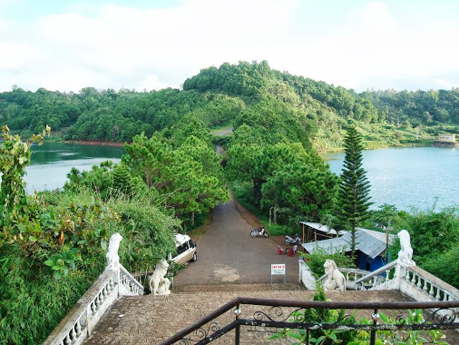 ve-may-bay-sai-gon-pleiku