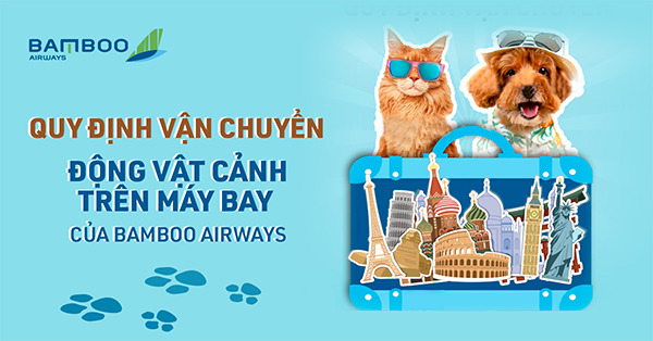 Dịch vụ vận chuyển thú cưng của Bamboo Airways